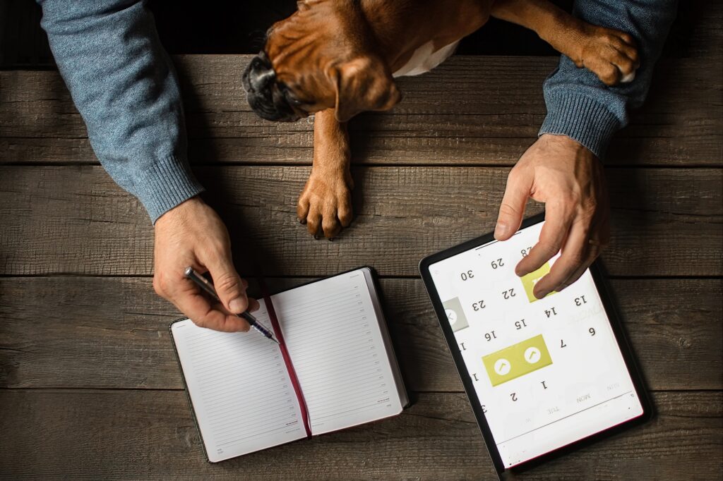 Online calendar and planning of cases for the year, month, week